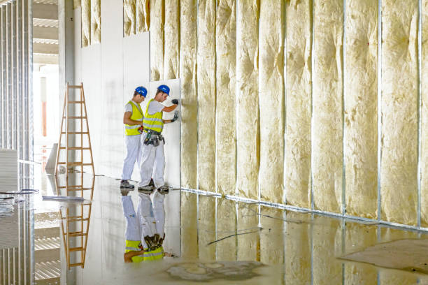 Best Cellulose Insulation in Monsey, NY